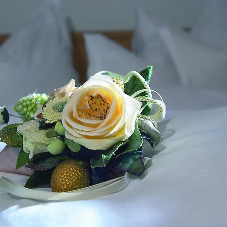 Claudia * Mittersill